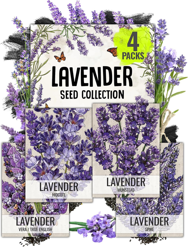 Lavender Seeds for Planting a Variety of Lavandula Plants (4 P...