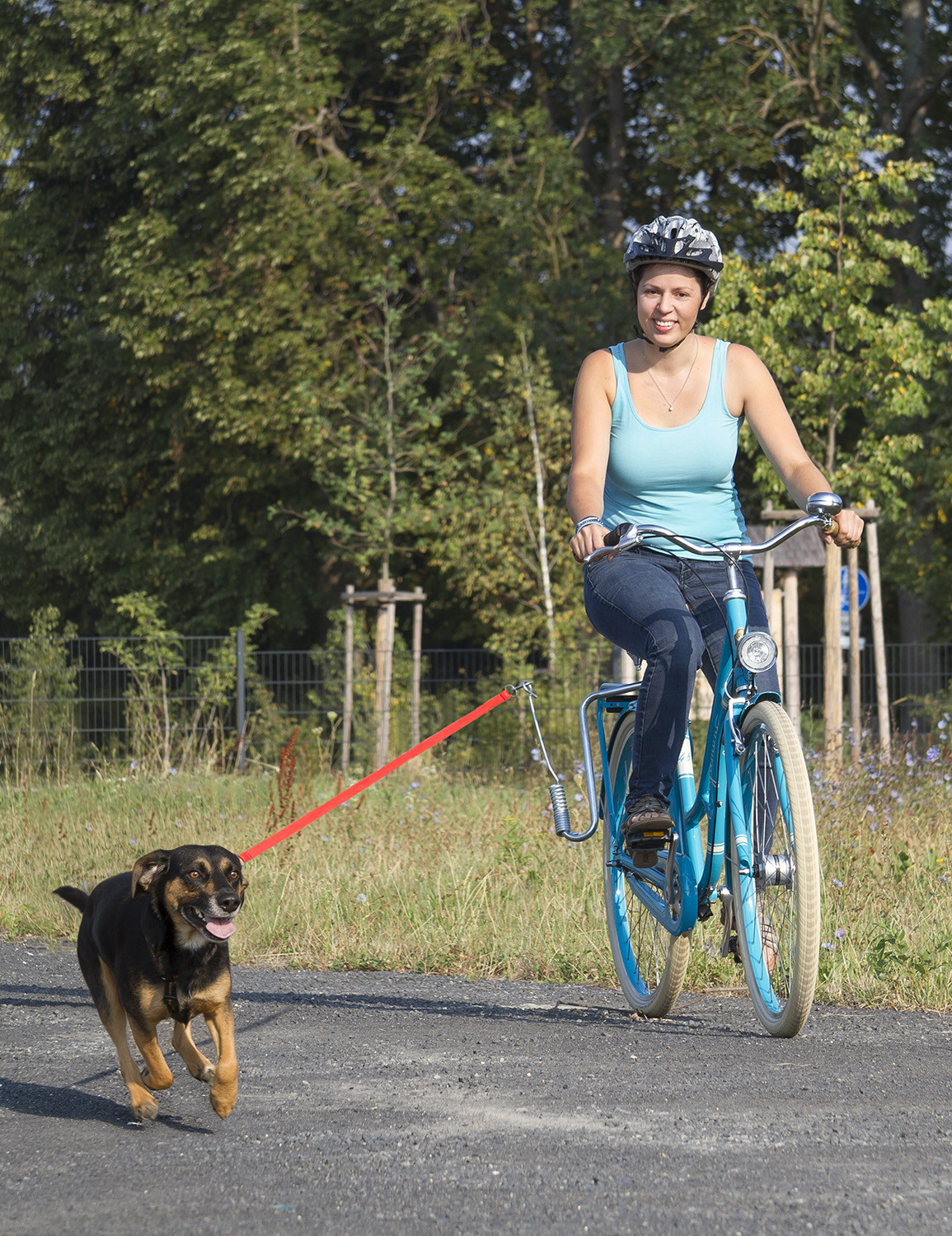 hundeführung fahrrad