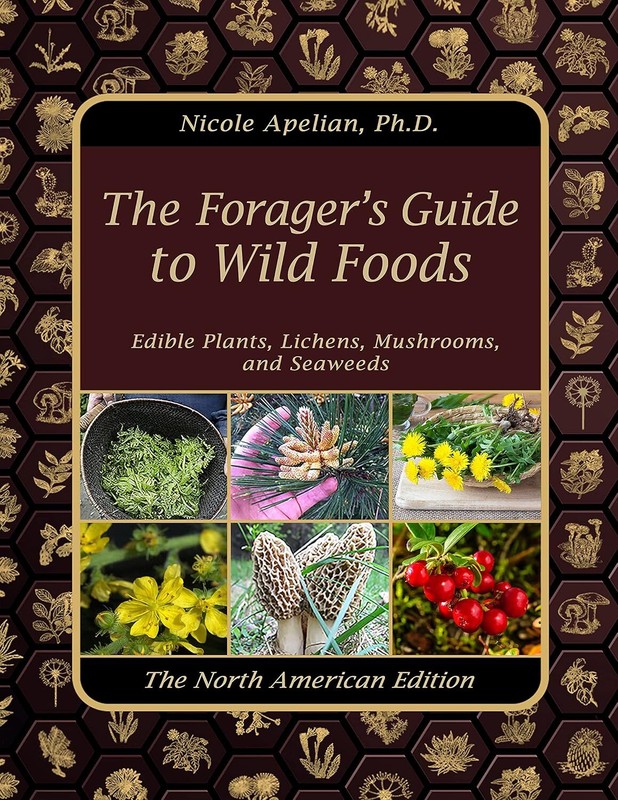 The Forager's Guide To Wild Foods Medicinal Plant Localization Maps
