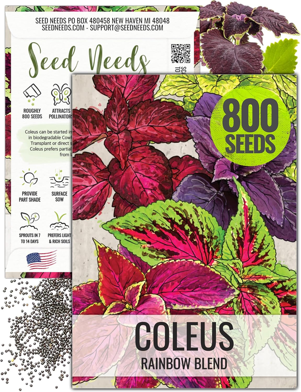 Coleus Seeds for Planting Rainbow Mix Painted Nettle 1 Pack