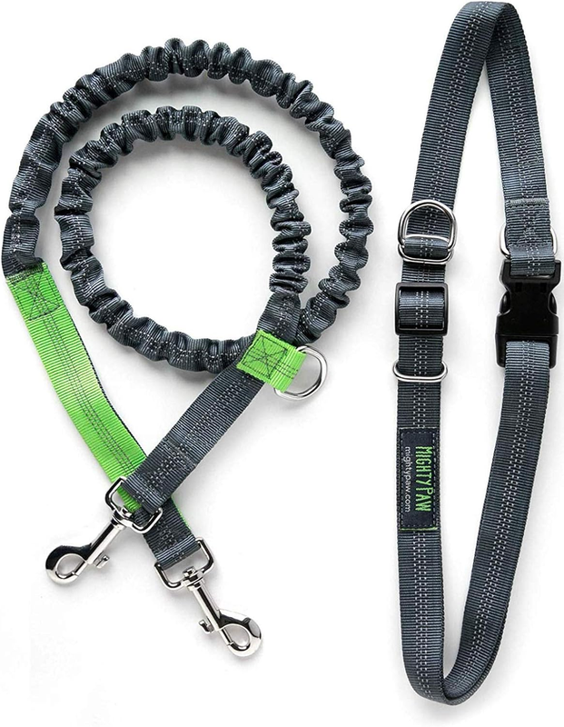 Hands Free Dog Leash  Bungee Waist Leash for Dog Walking. Pet ...