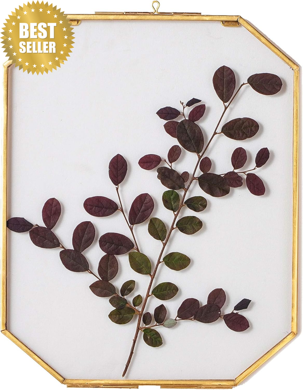 Hanging Glass Photo Frame, 8X10 Inches Double Glass Wall Decor Octagon Herbarium