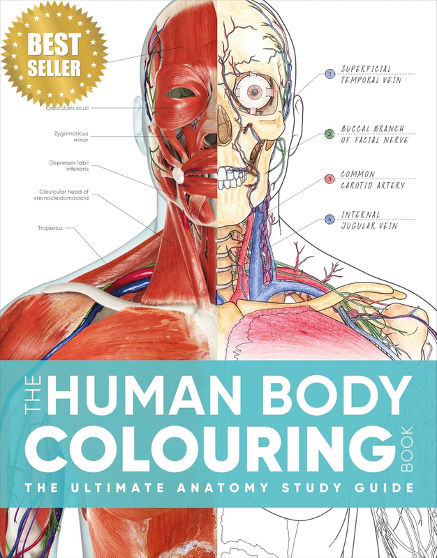 The Human Body Colouring Book: the Ultimate Anatomy Study Guide