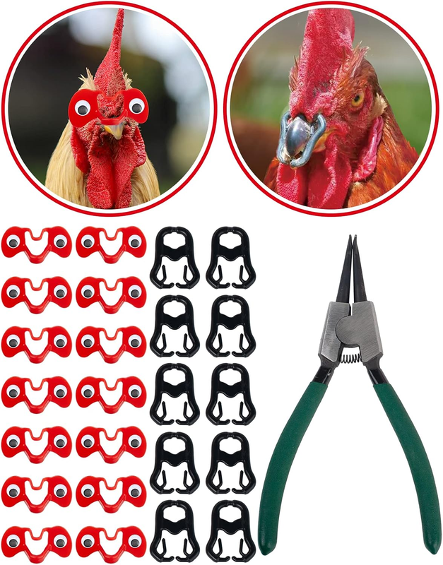 A Set of 100PCS, 50PCS Pinless Chicken Peepers with Googly Eyes, 50PCS Chicken B