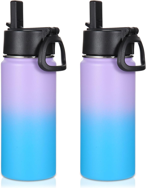 Bulk 2 Pack,insulated Sports Bottles With Straw Lid,stai
