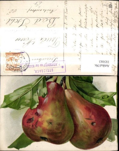 185083,Künstler Ak Stillleben Birne Birne Zweig Obst Essen Stempel Steinbach Pos img