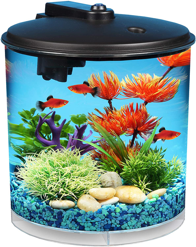2 Gallon 360 Aquarium with Power Filter LED Lighting Trendy Elegant Design