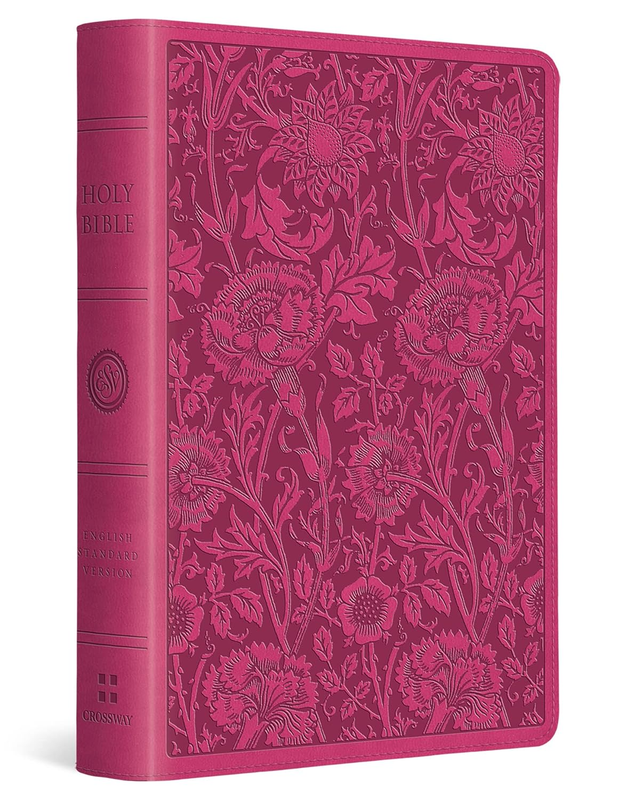 ESV Large Print Compact Bible