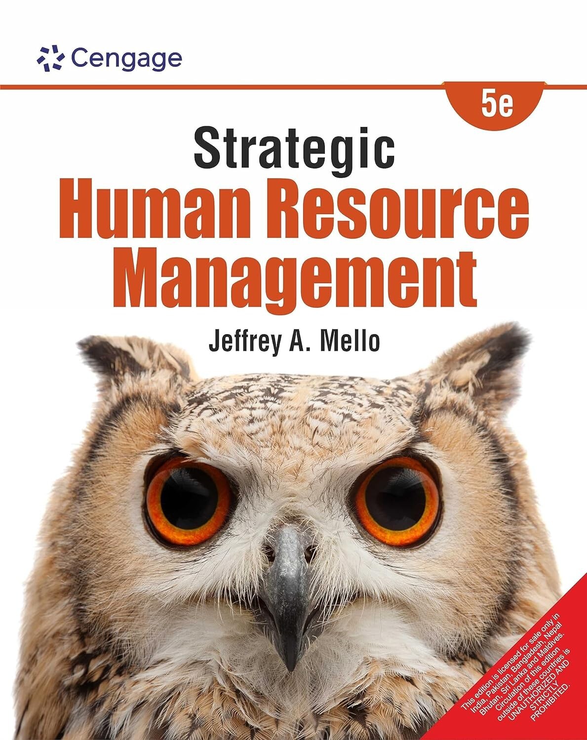 洋書 Strategic Human Resources Strategic Human Resource Management, 4TH EDITION: Jeffrey A
