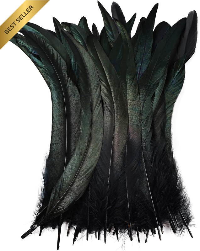 Natural Long Rooster Tail Feathers Bulk Black 25-30Cm | 50 Pieces, Colourful Des