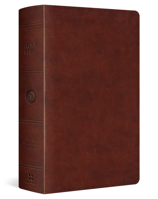 Large Print Personal Size Bible-Esv
