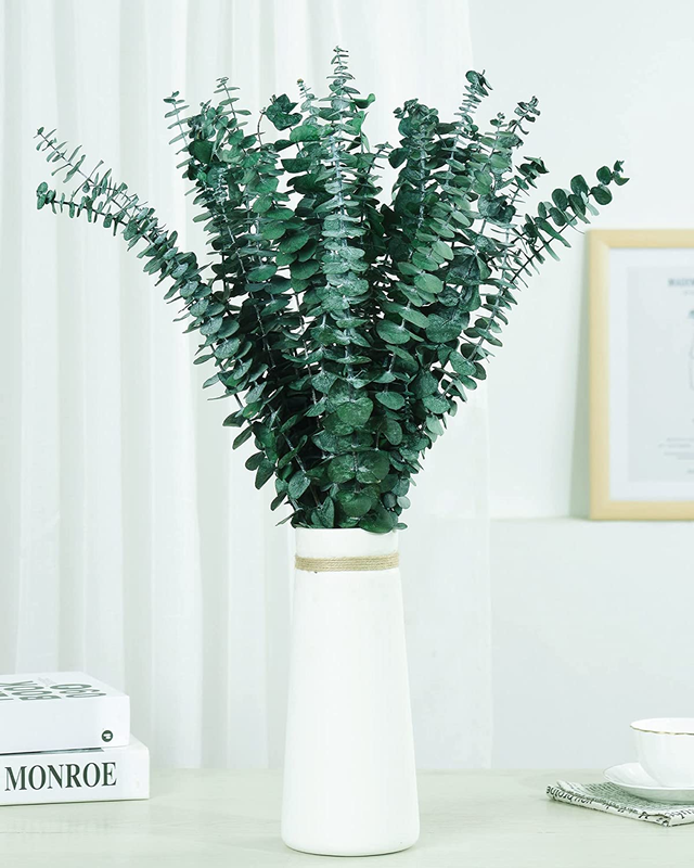 Large Package Dried Preserved Eucalyptus Stems Shower Bundle, 30 Pcs 17" 100% Na