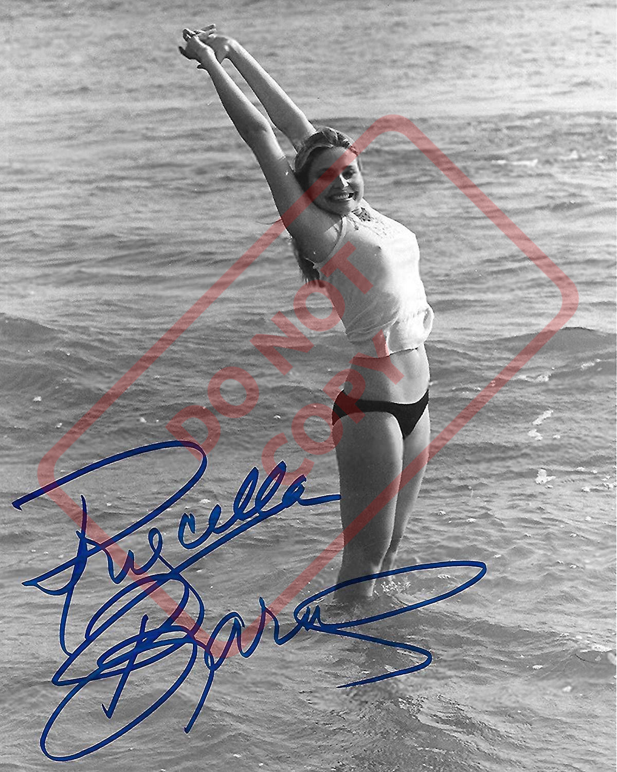 8 5x11 Autographed Signed Reprint Rp Photo Priscilla Barnes Sexy