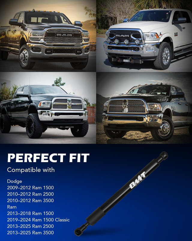 Truck Tailgate Assist Compatible with 2009-2025 Dodge Ram 1500 2500 3500, Pickup