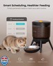 Invengo Automatic Cat Feeder with Timed Food Dispenser, One-Touch Feeding, Dual Power Supply, Anti-Bug Design, Visible 3L Hopper – Automatic Pet Feeder for Cats and Small Dogs