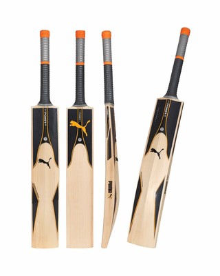 puma evopower se cricket bat