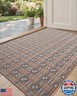 DEXI Entryway Door Mat Inside, Front Entrance Doormat Thin Low Profile, Non Slip Mats Absorbent for Home Entry Floor, 24x36, Checkered Beige