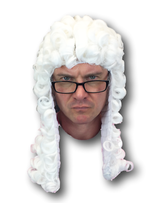 White Judge Wig Barrister Court Gentleman Downton Abbey Law Fancy Dress Hair