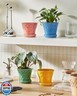 Metahom Ceramic Plant Pots, 4.9 Inch Flower Pots with Drainage Hole and Saucer, Colorful Planter Pots for Indoor Plants, Small Pots for Succulent, Catus, Home Decor, Set of 4, Assorted Colors