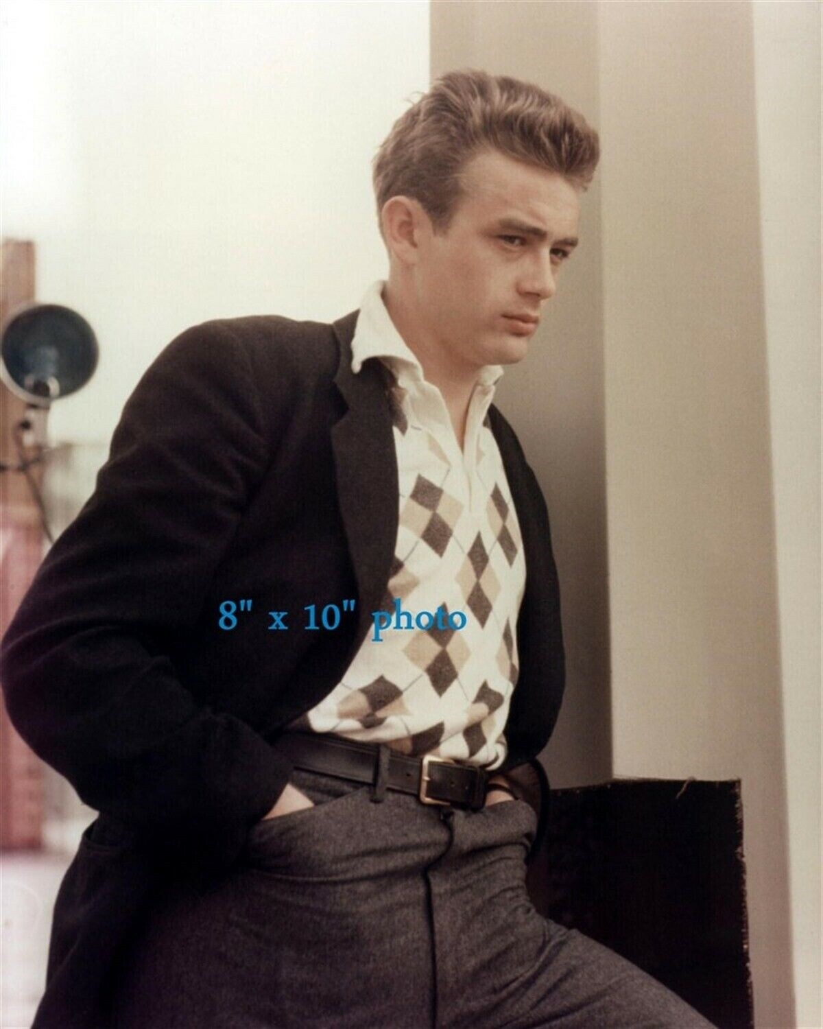 James Dean 写真集 ジェームズ・ディーン写真集 Shine of life―命、煌いて | サン