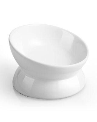 LoeJan Elevated Cat Food Bowl 5 Oz Ceramic Raised and Tilted Pet Water Bowl New