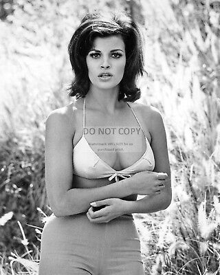 RAQUEL WELCH ACTRESS AND SEX-SYMBOL PIN UP RT681 8X10 PUBLICITY PHOTO