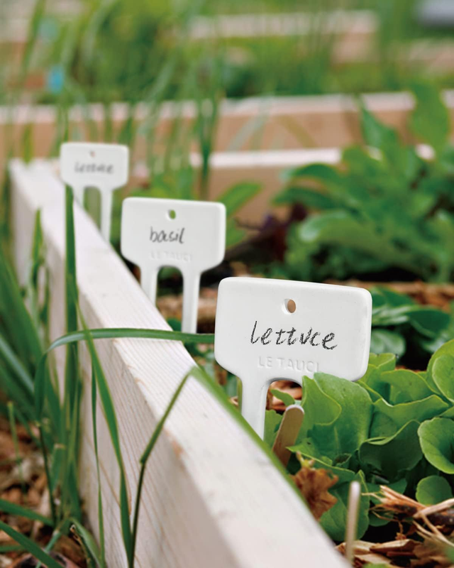 Plant Labels, Ceramic Garden Markers, Herbs Succulent Name Tags, Funny Gardening