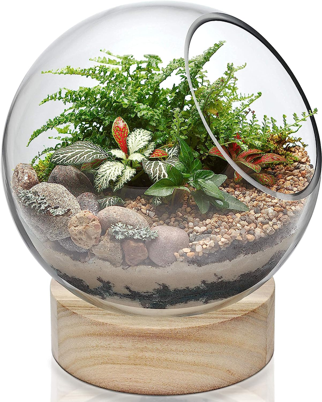 Bubble Bowl With Wood Base (h:8