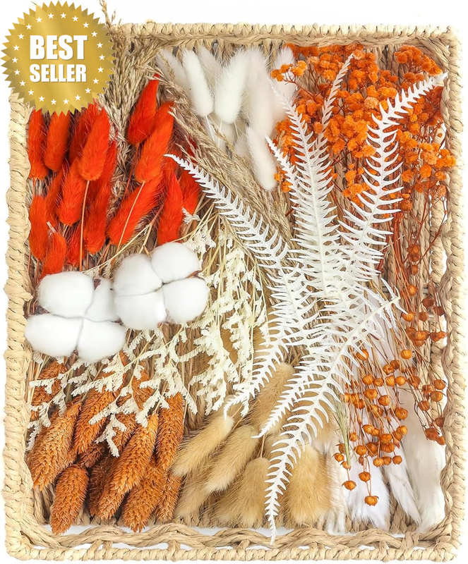 DIY Natural Preserved Flower Kit, Orange Dried Flowers for Home Decor, Preserved