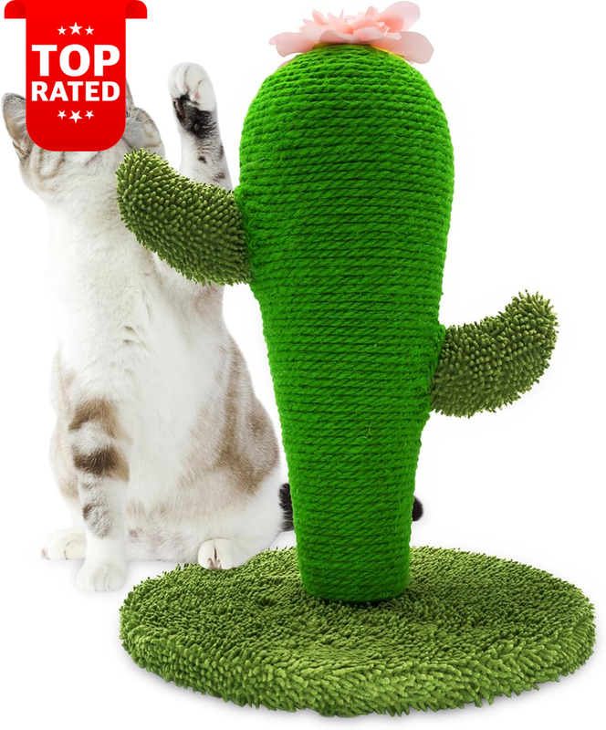 Cute Cactus Cat Scratching Post Nature Sisal Scratcher for Indoor Cats Kittens