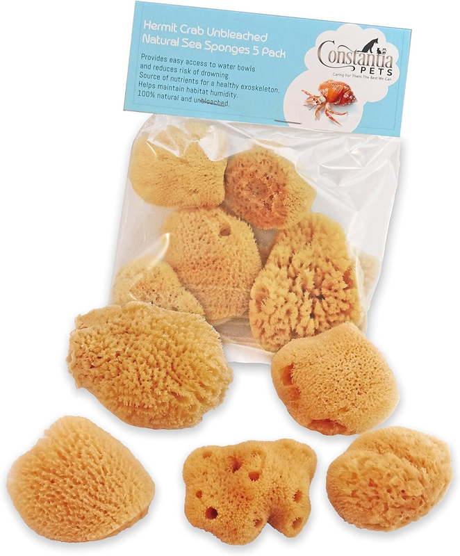Hermit Crab Real Sea Sponges - 5 Pack Unbleached, Provides Nutrients, Safer Drinking and Helps Maintain Habitat Tank Humidity