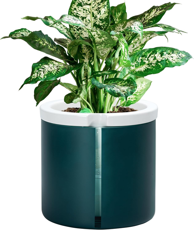 8 Inch Design Self Watering Planter for Indoor Plants, White Terracotta Pot with Teal Cylinder Glass Cup, 37-X-C-5