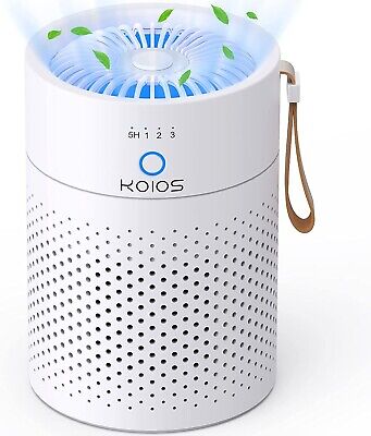 Large Room Air Purifier True HEPA Filter Odor Allergies Eliminator Home Office
