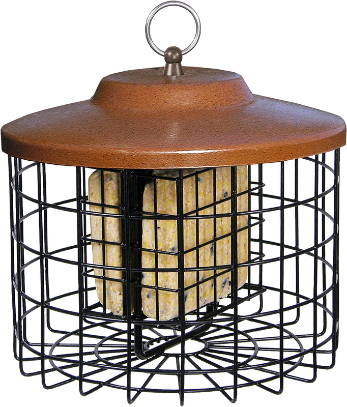 More Birds Squirrel-X Double Suet Feeder, Outdoor Wild Bird 
