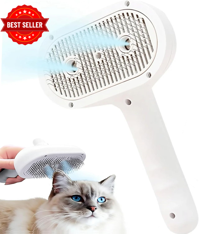 Cat Brush Dog Brush, 4 in 1 Pet Cat Dog Steam Brush for Shedding Grooming with 2