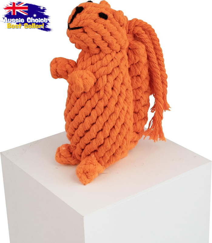 Sydney Squirrel Rope Toy - Durable Dog Chew, Tug Play, Safe Cotton - Active Pets