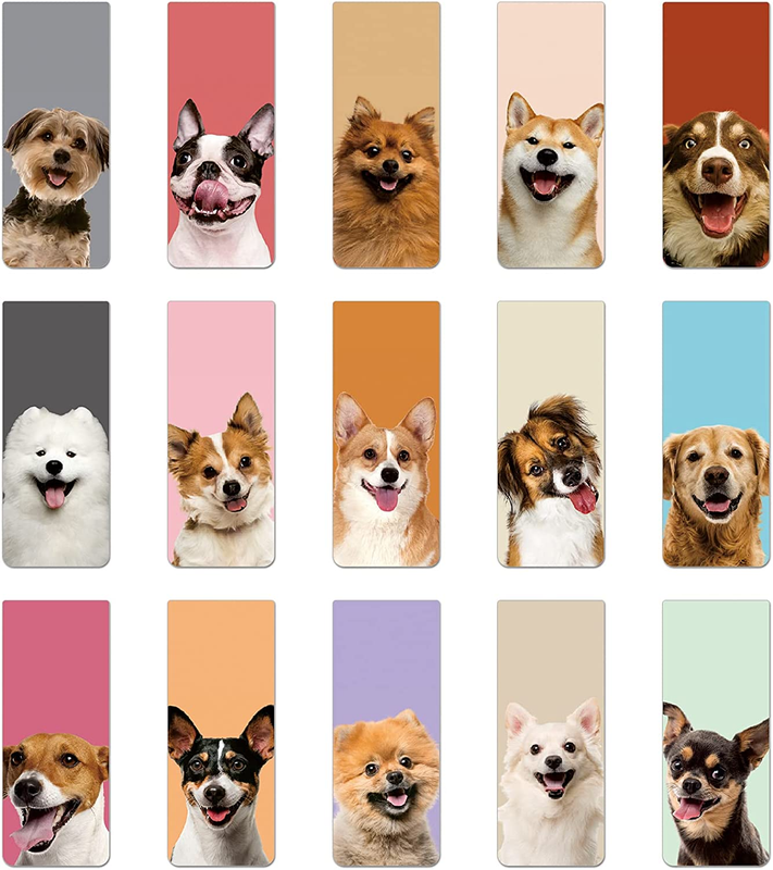 Pet Magnetic Page C