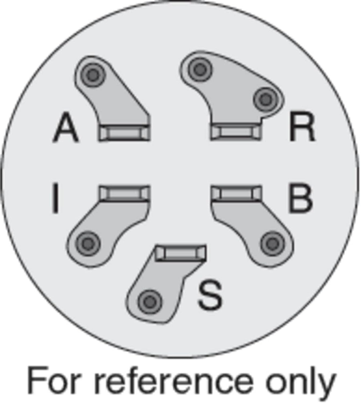 Picture 3