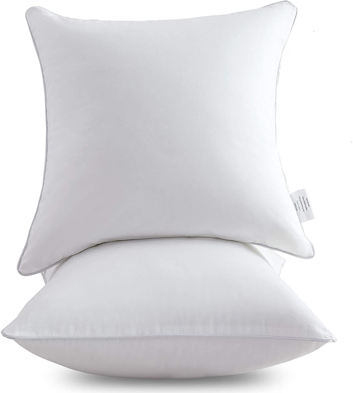 20 X 20 Pillow Inserts (Set of 2) - Throw Pillow Inserts wit