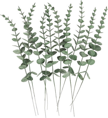 10 Pcs 17'' Real Eucalyptus Shower Plant - Dried Stems Bundle for Bathroom Decor 