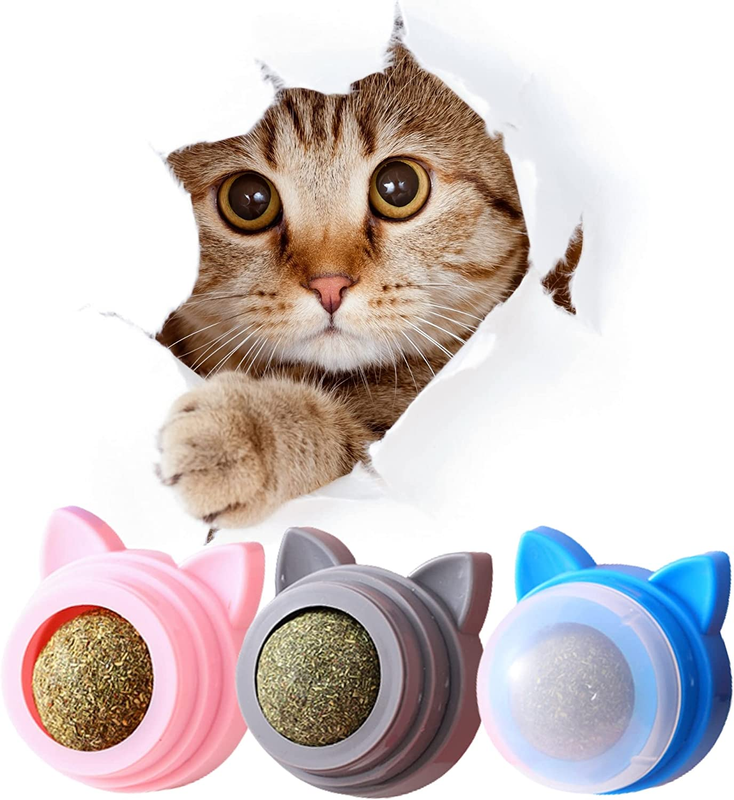 Catnip Balls That Stick on Wall - Cat Nips Organic - Magic Cat Balls - Catnip Pl