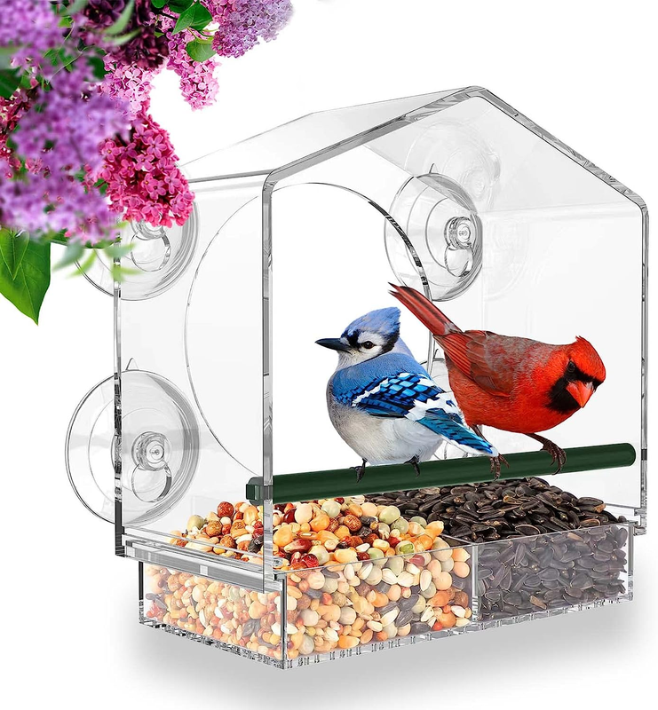 Alimentador De Pájaros Montado En Ventana De Acrílico Con Fuertes Ventosas