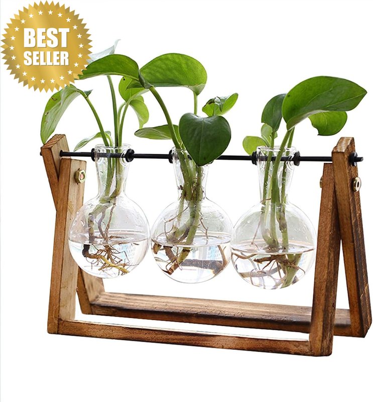 Plant Terrarium with Wooden Stand, 3 Bulb Vase