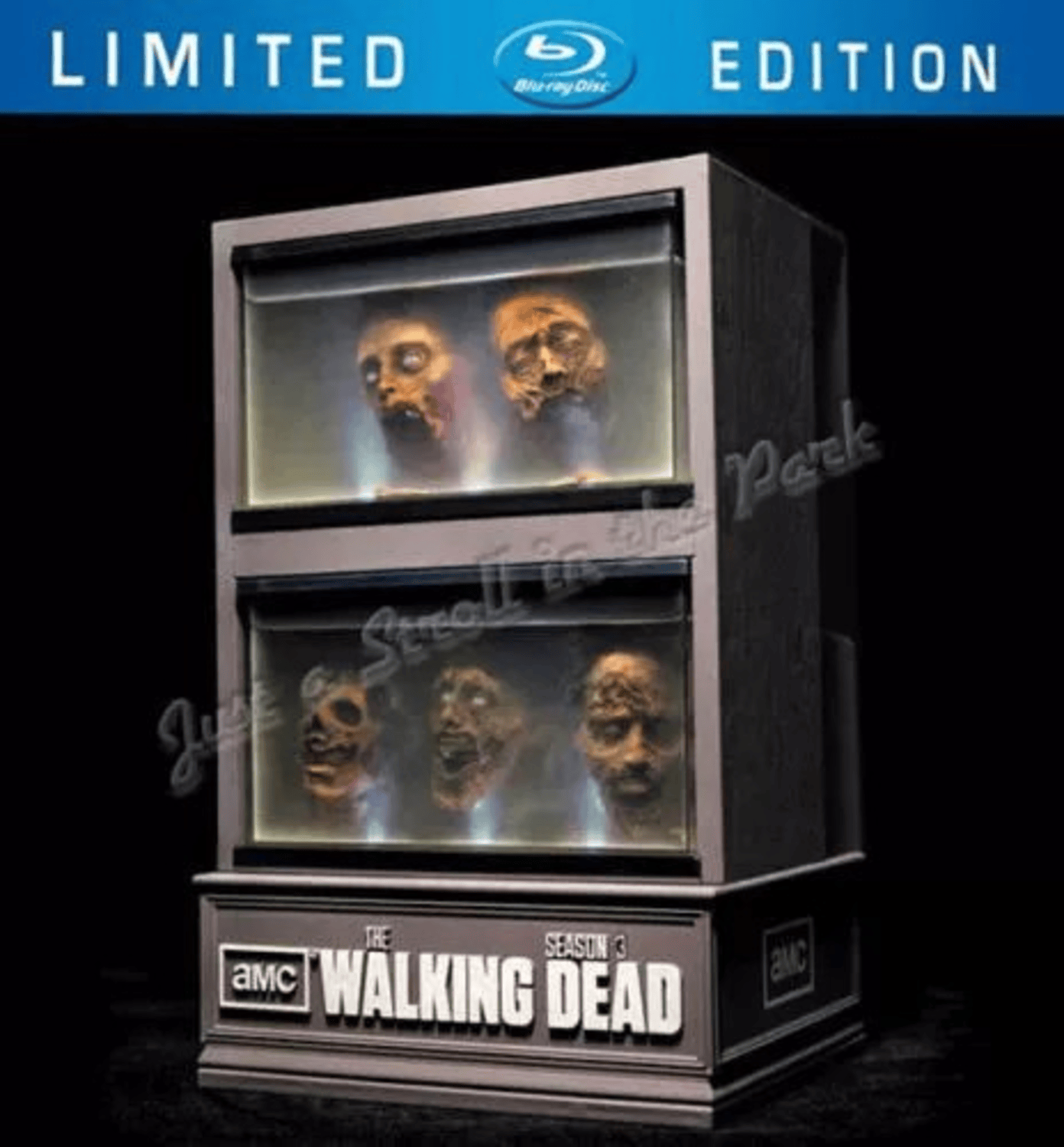 The Walking Dead Limited Edition Collectible Zombie Head