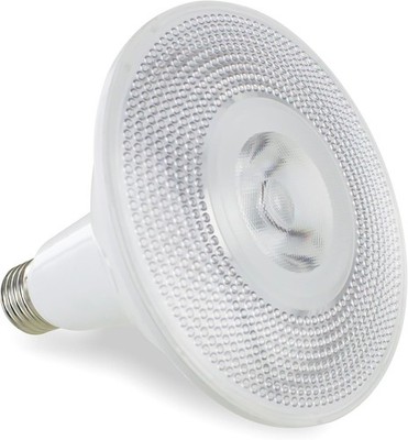 Integral PAR38 Blue LED Bulb 15w E27 Spotlight for Coloured Outdoor Garden