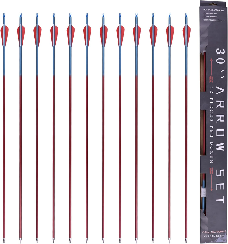 Mixed Carbon Arrow Archery Practice Shooting 3 Inch Plastic Vanes Fletching Removable Replaceable Broadhead Tips Arrows12Pcs Hunting Arrows I.D.6.2MM O.D.7.8Mm Arrows for Recurve Compound Bow