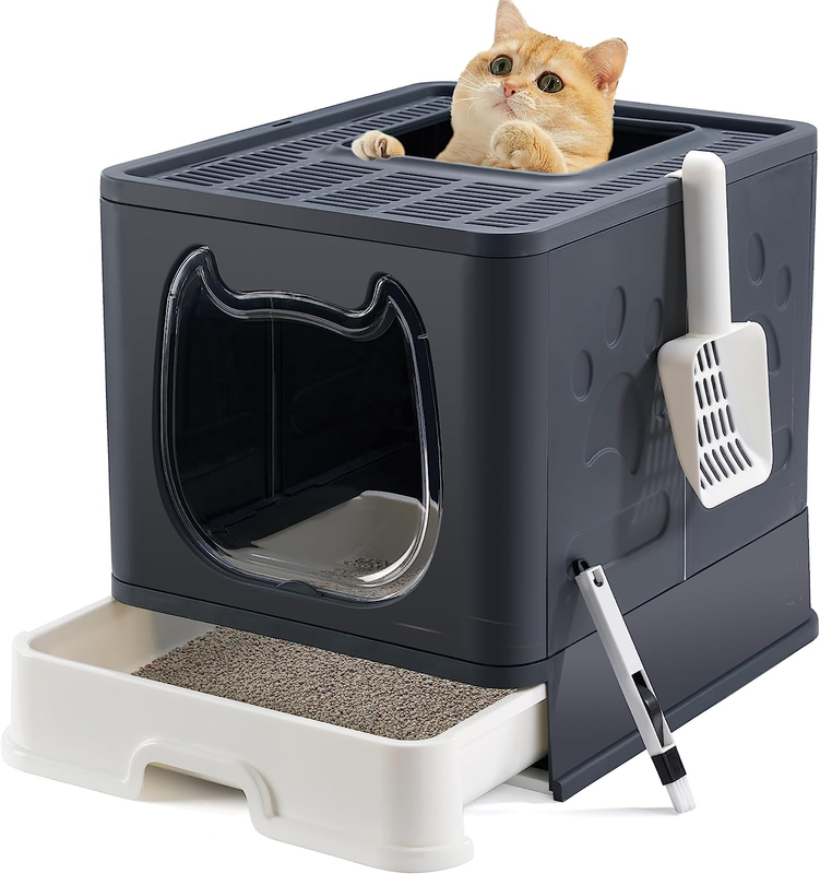 With Sifting Lid Covered Kitten Litter Box With Kitty Li