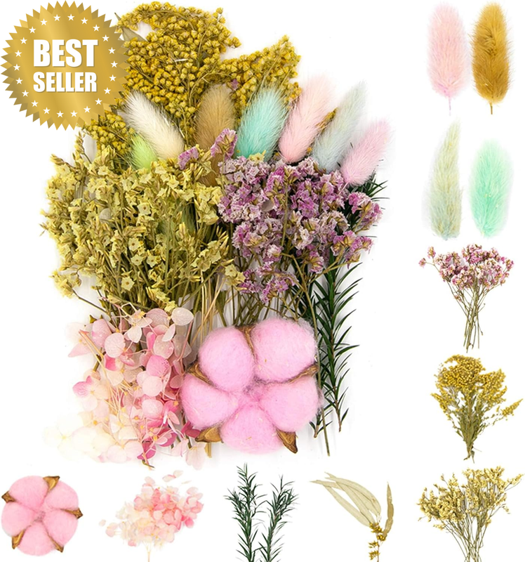 Real Dried Pressed Leaf Flowers-Multiple Colorful Pressed Flowers Daisies for Cr