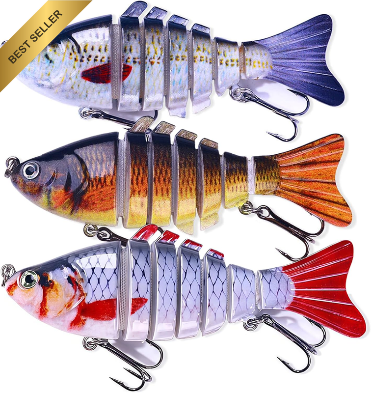 Lifelike Bionic 3D Fishing Lures for Freshwater Saltwater, Beginners Amateurs Pr