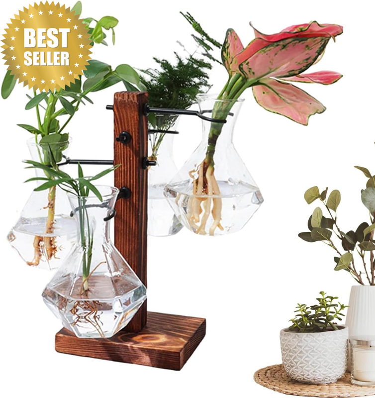 Planter Terrariums Kit, Plant Terrarium Wooden Stand, Hydroponic Planter Bulb Gl